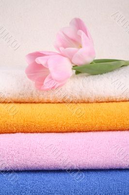 towels