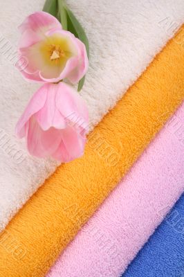 towels
