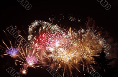 Colourful fireworks