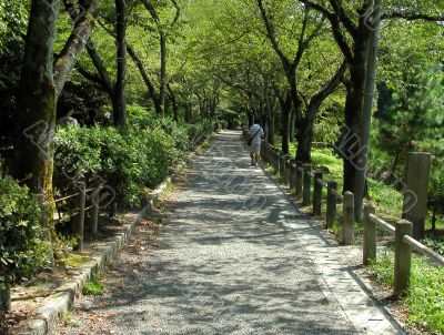 Philosopher`s path-Tetsugaku no michi