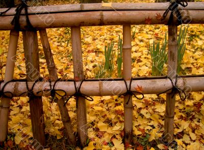 Autumn Japanese Fence