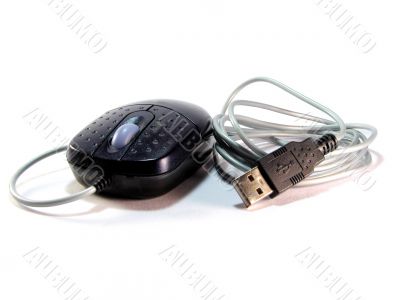 Mouse with USB