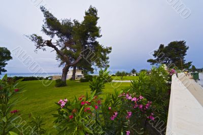 The house at the sea