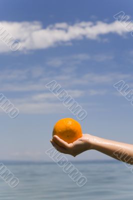 hand keeps orange on background sky