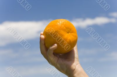 hand keeps orange on background sky