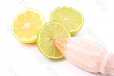 citrus squeezer