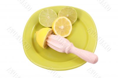 citrus squeezer