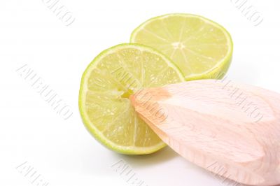 citrus squeezer
