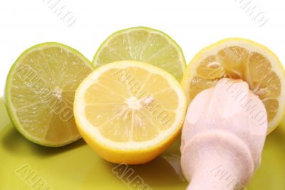 citrus squeezer