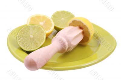 citrus squeezer
