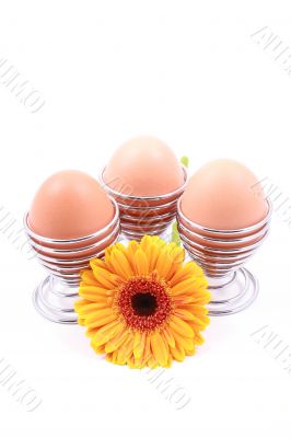 three eggs and yellow gerbera