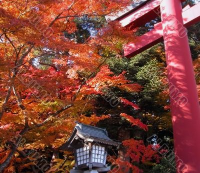 Autumn temple gate