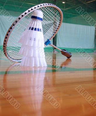 Badminton 2