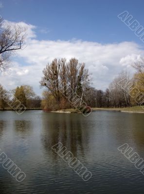 Island on pond in park. Fall