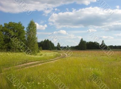 Green medows with trees