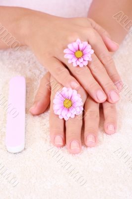hands care