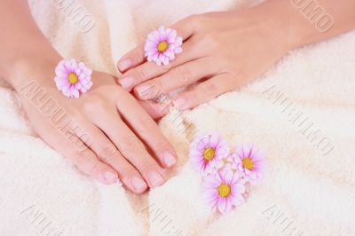 beautiful hands