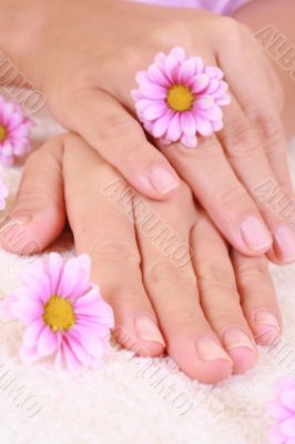 hands care