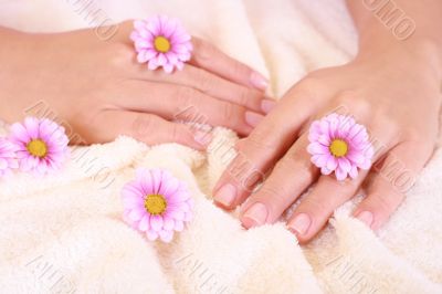 beautiful hands