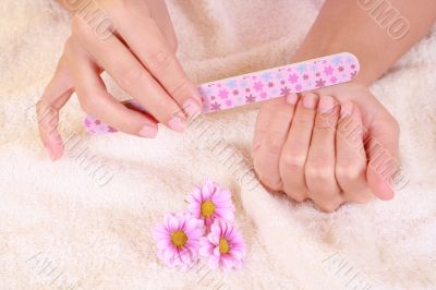 beautiful hands