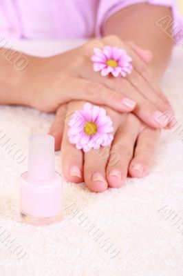 beautiful hands