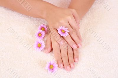 beautiful hands