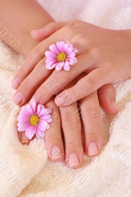 beautiful hands
