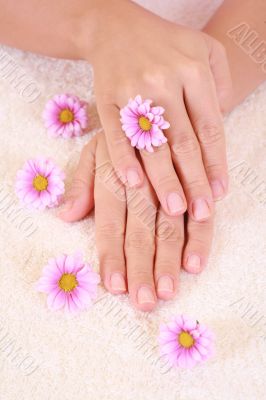 beautiful hands