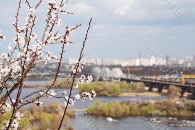 Kiev landscape from top