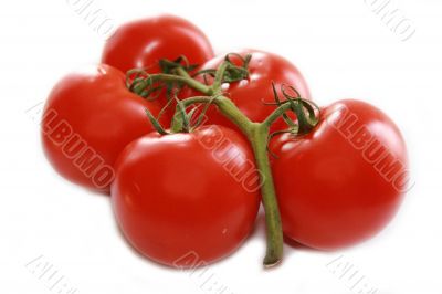 Bunch of tomatoes