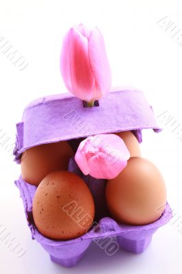 Easter eggs