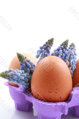 Easter eggs