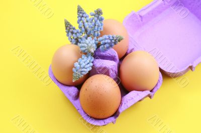Easter eggs