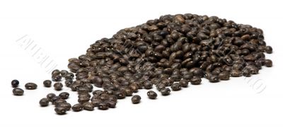 Beans in white