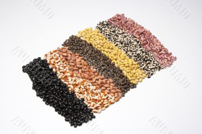 Carpet of beans 1