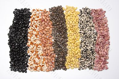 Carpet of beans 2