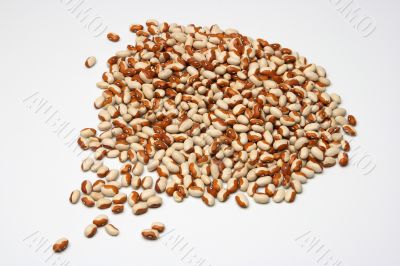 Beans in white 5