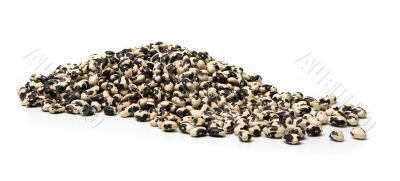 Cow Beans in white 2