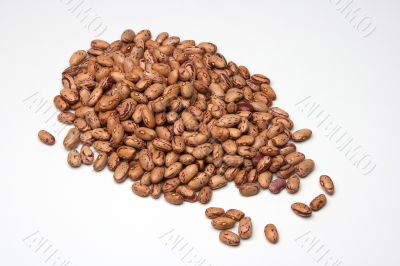 Beans in white 3