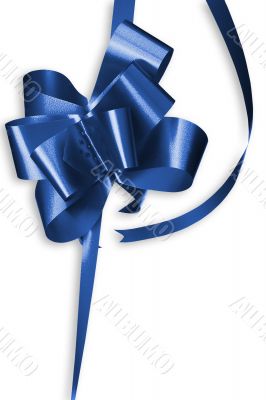 Blue Bow
