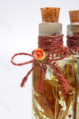 Bottle with plants 2