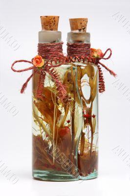 Bottle with plants