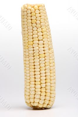 Corn on the cob