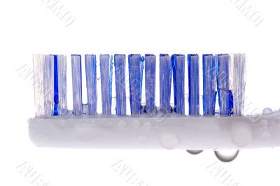 Toothbrush close-up 2