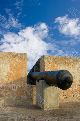 Cannon in an old fort