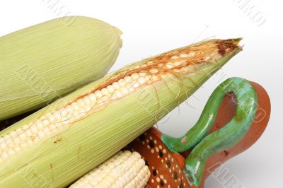 Corns on the cobs in crock 1