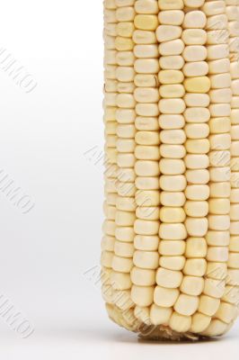 Corn on the cob close-up