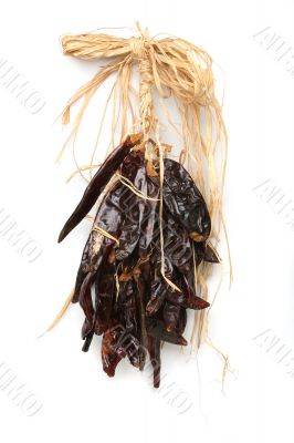 Chilli on the wall