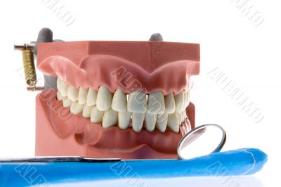 Dental mold and mirror 4