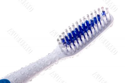 Toothbrush close-up